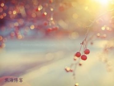浅谈百加V6爱奇艺手机
